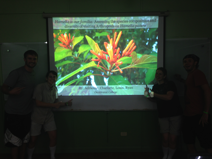 Image for May 29, 2014 - La Selva Biological Station Classro