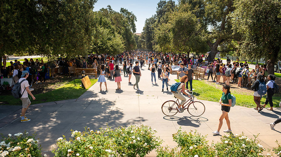 Oxy students in the Academic Quad