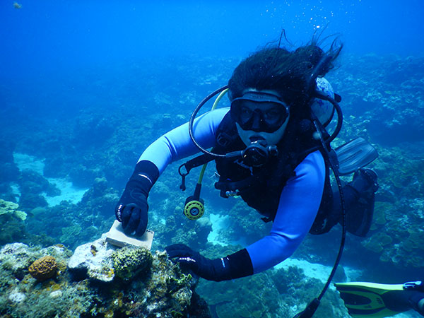 Deep sea diving in Jamaica