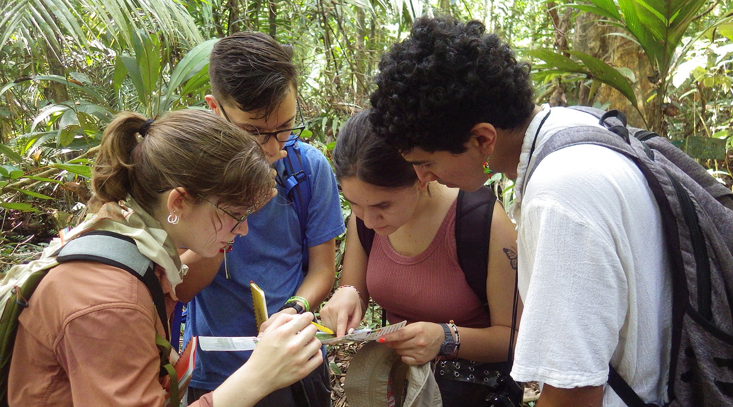 four students huddled together in the jungle, looking at their research notebooks