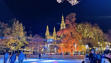 a view of Vienna at Christmastime