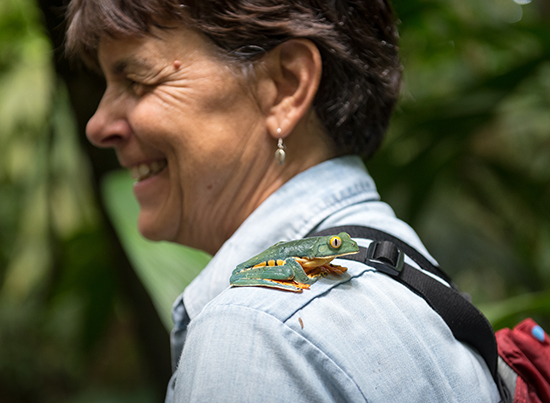 Braker lends a shoulder to Cruziohyla calcarifer in Costa Rica in 2017.