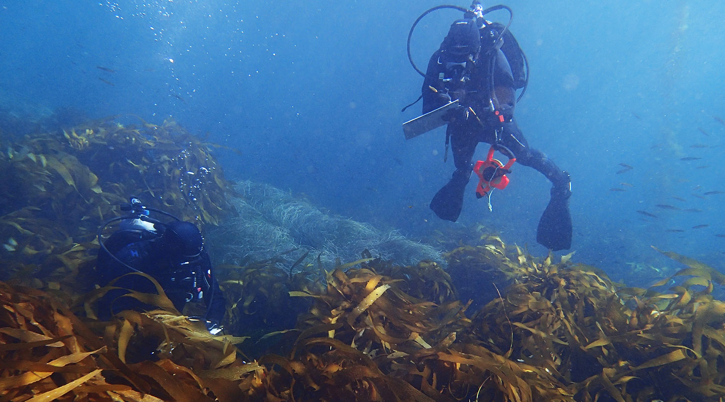 a student doing an underwater ocean dive