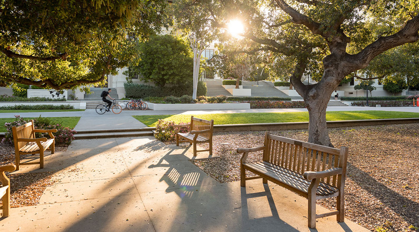 a view of the campus Quad with benches and a biker going past