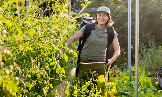 Ellie Chang '26 tends to the plants on Avenue 33 Farm, an urban farm on 1.2 acres in Lincoln Heights. Ellie Chang '26 tends to the plants on Avenue 33 Farm, an urban farm on 1.2 acres in Lincoln Heights.