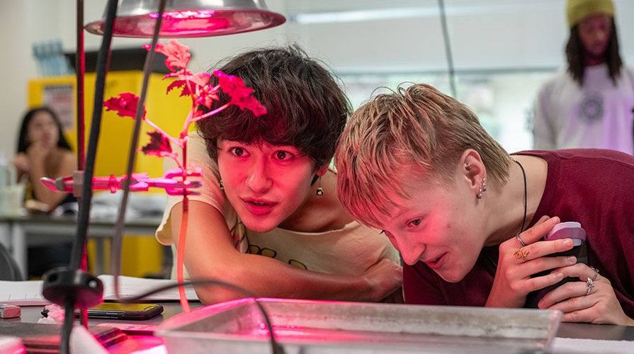 Two Occidental students in a biology lab looking at a plant growing under a hot pink light