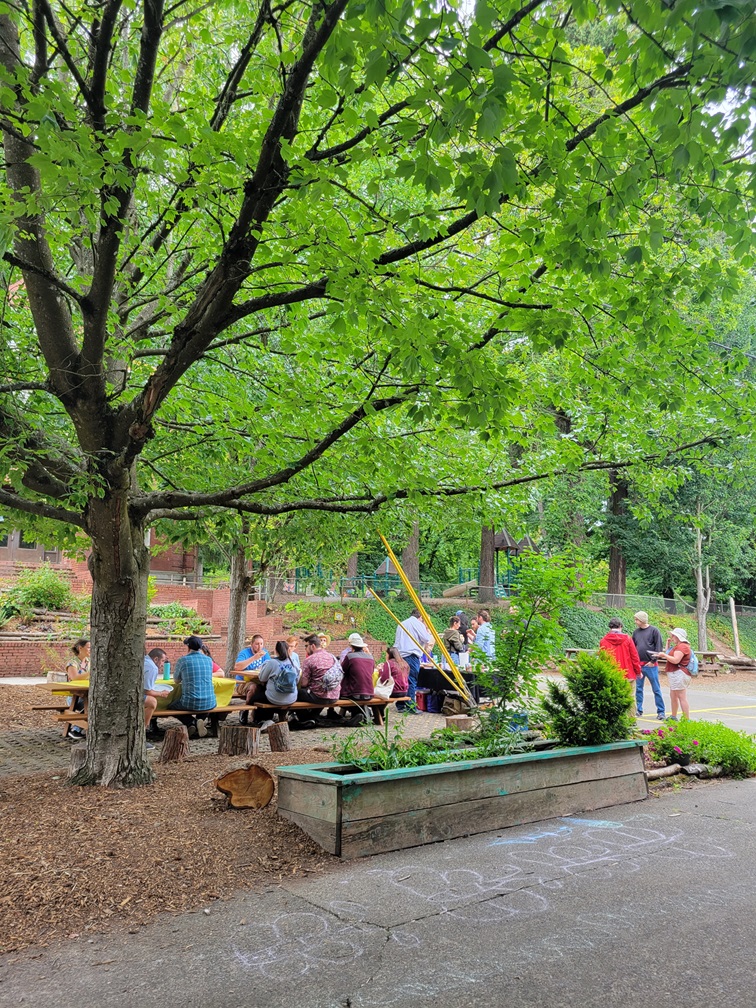 People seated at a table under a tree