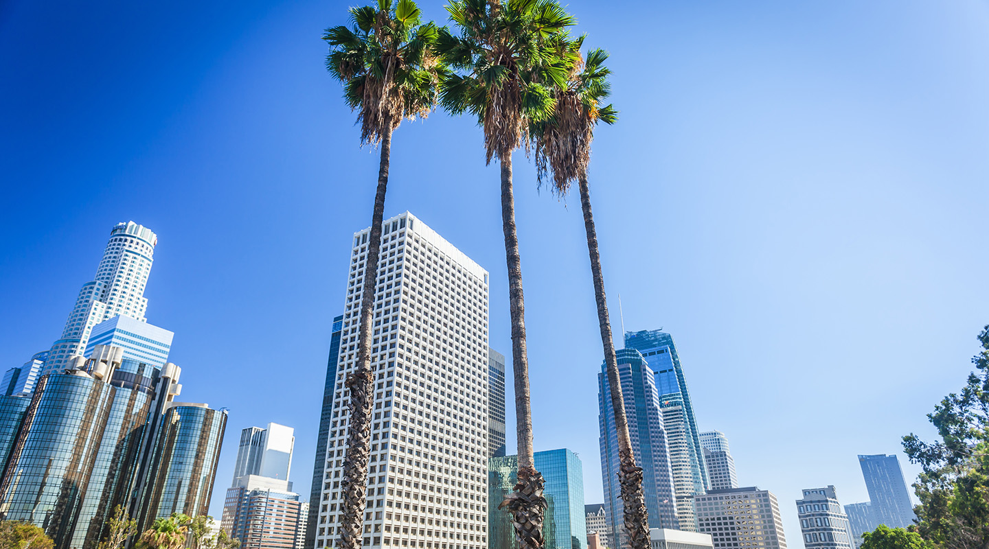 The downtown LA skyline with palm trees