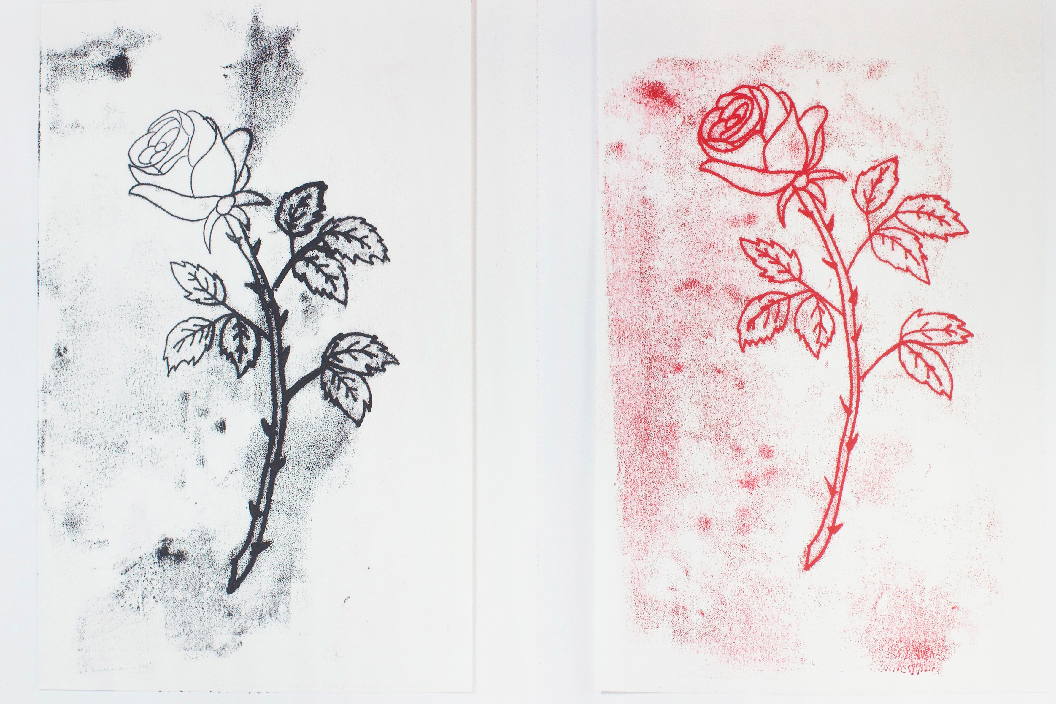 51178421867_38f7bc270d_o.jpg Rose prints