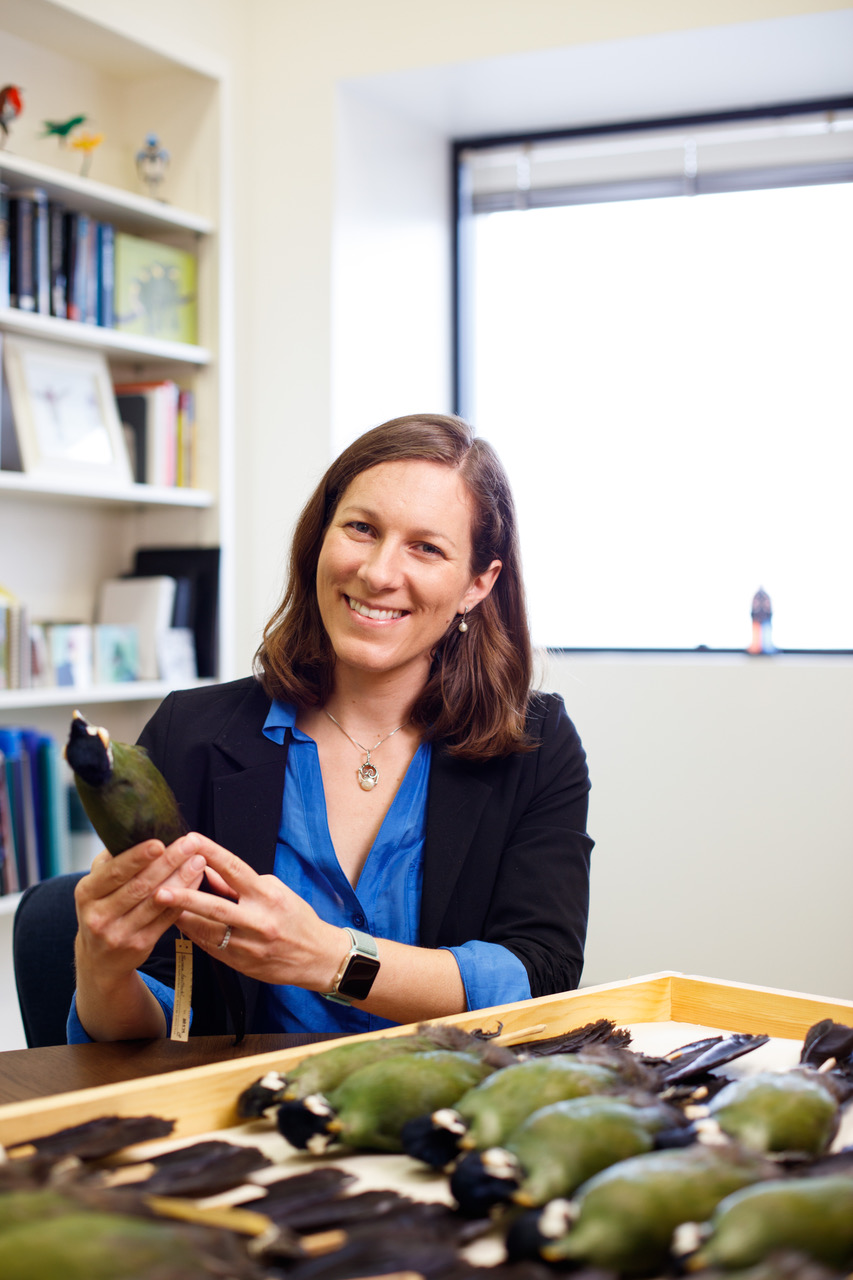 Allison Schultz with tanager specimens