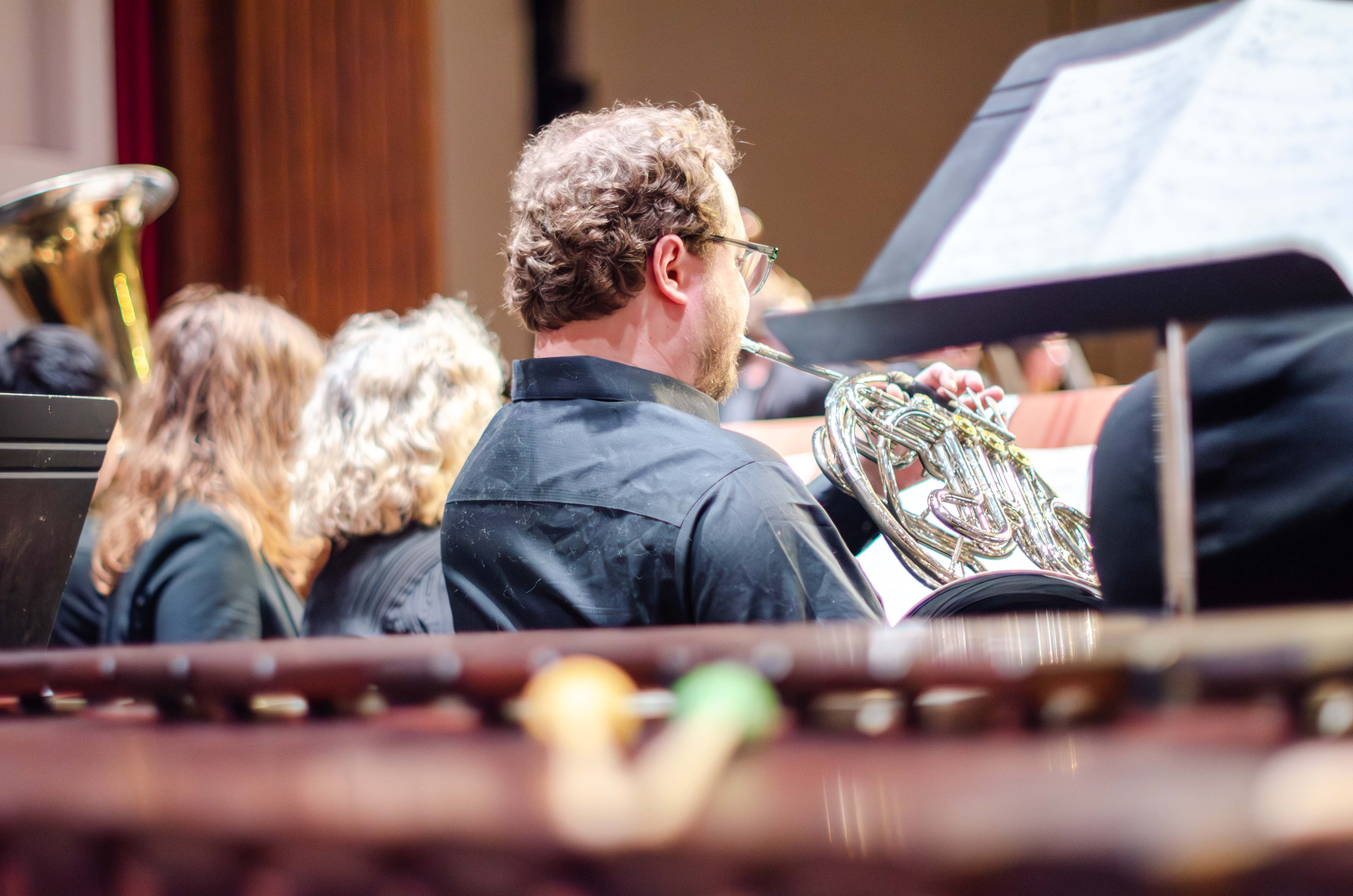 Orchestra woodwind players