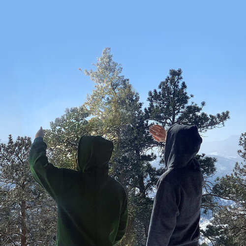 Daisy DAys.jpeg Two figures in hoodies standing in front of pine trees with their backs to the camera. Their hands are raised in the air shielding their eyes from sunlight