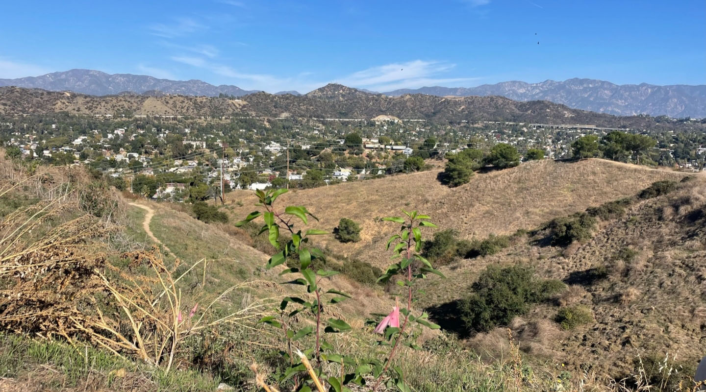 a view of the hills from the top of Fiji Hill near the Occidental College campus