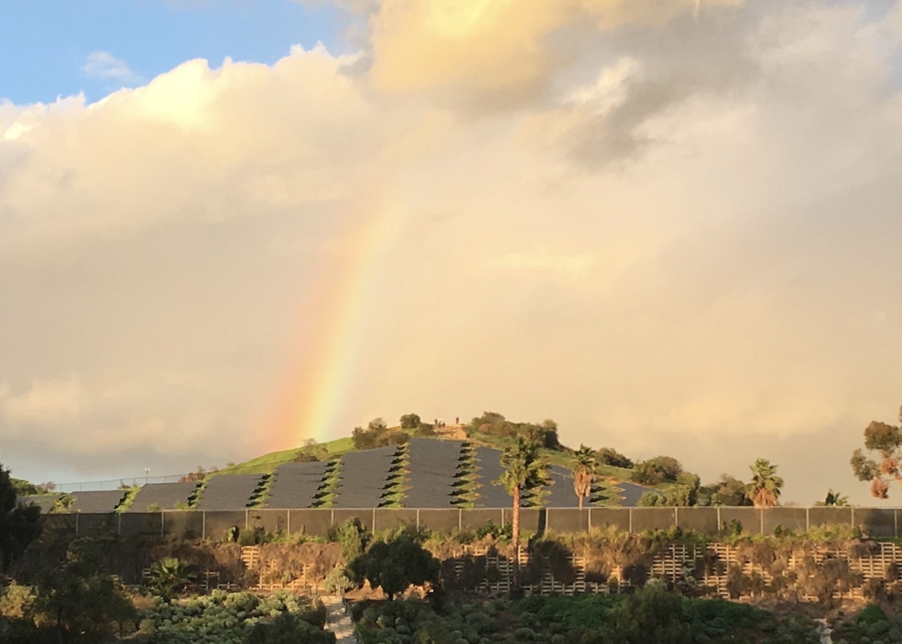 Rainbow Solar Array