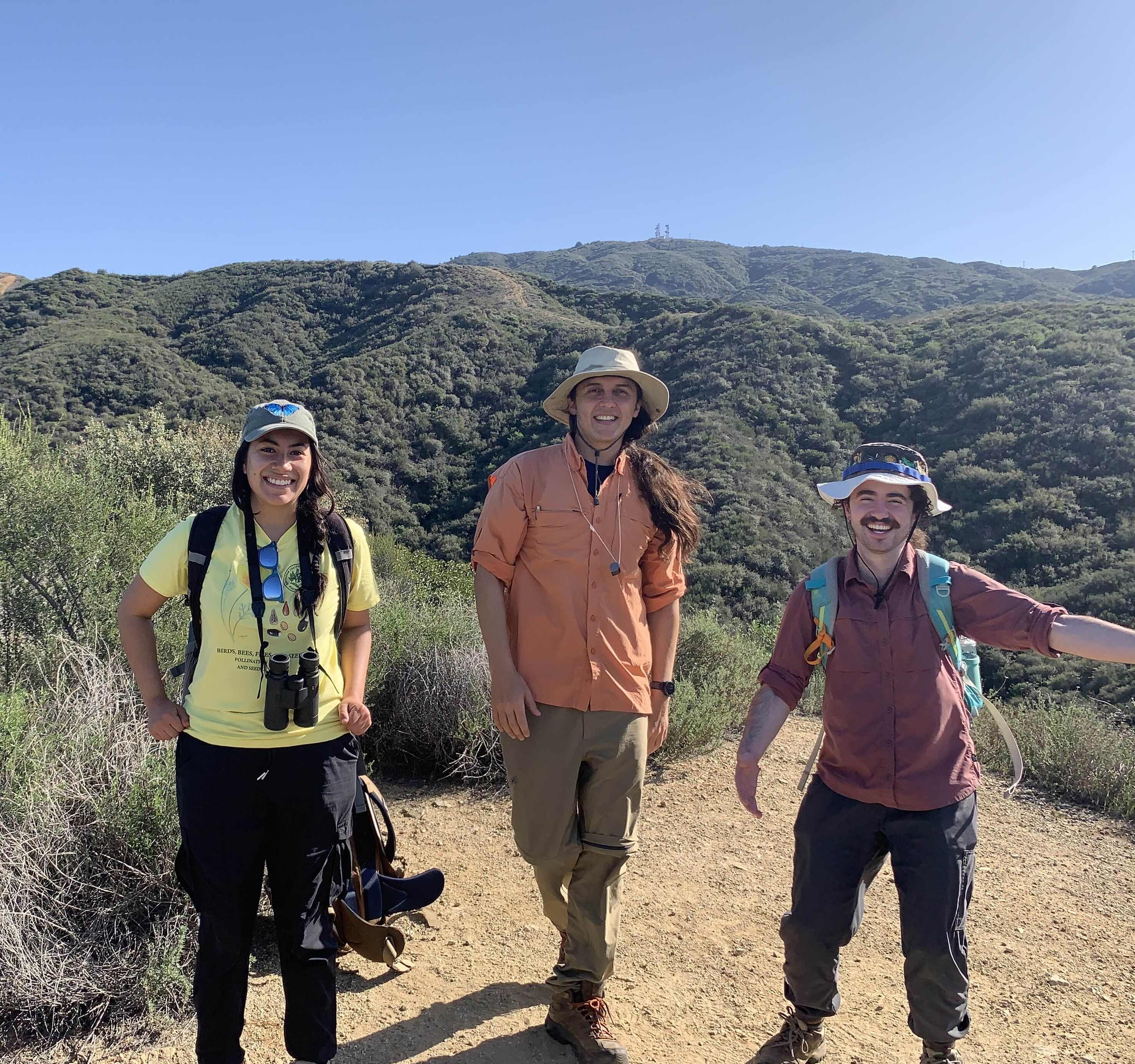 Three hikers on a hillside