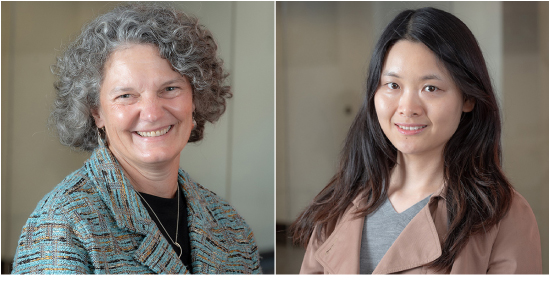 Vanessa R. Yingling (professor, kinesiology), Meiqing Zhang (computer science) 