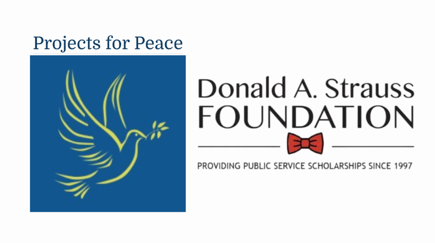 P4P + Strauss Info Session_v2