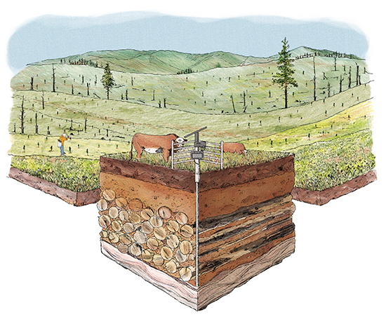A Mast Reforestation illustration depicts the concept of biomass burial. A Mast Reforestation illustration depicts the concept of biomass burial.