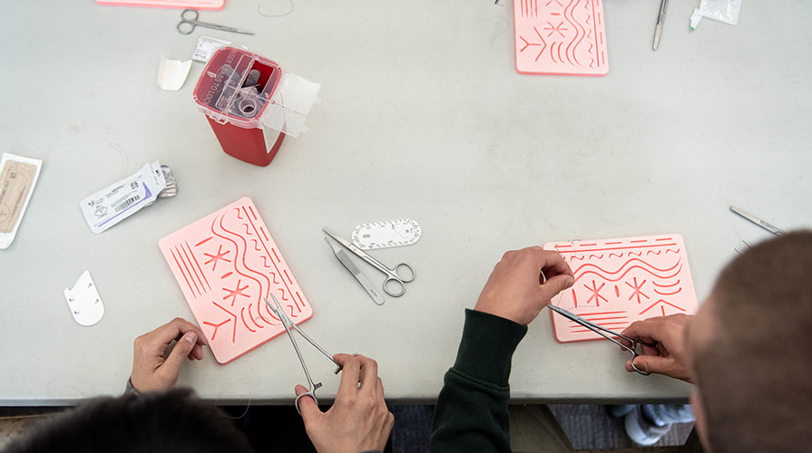 Occidental prehealth students practicing medical sutures with test kits