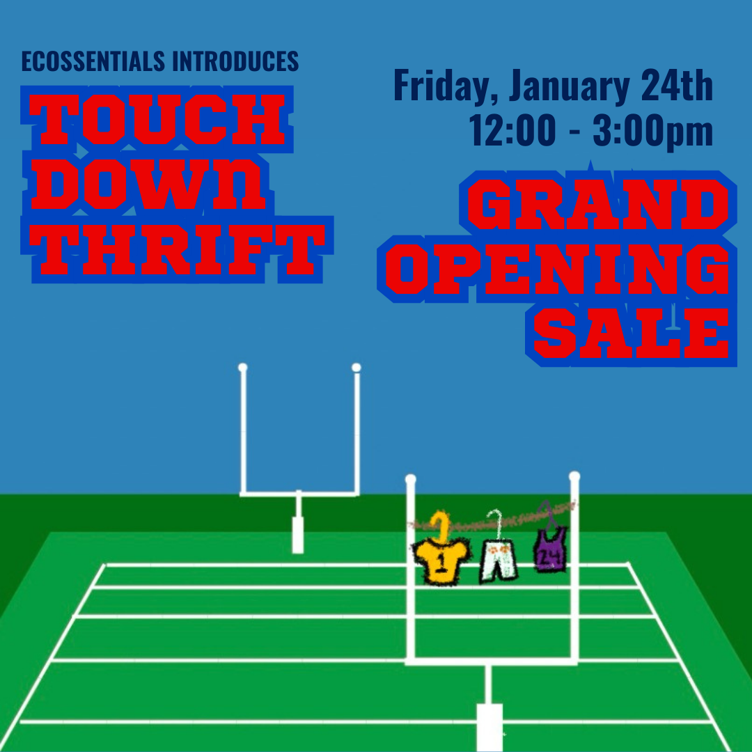Bright blue and green background with red text that says "touchdown thrift grand opening sale"