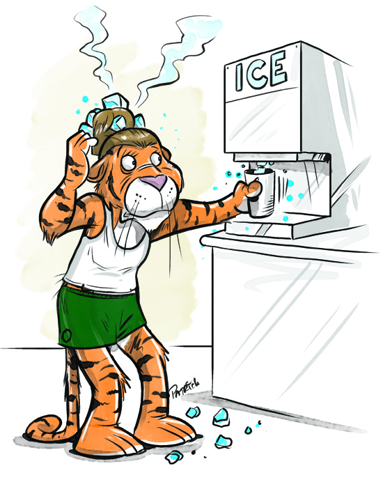 Tiger with ice cubes in their hair bun
