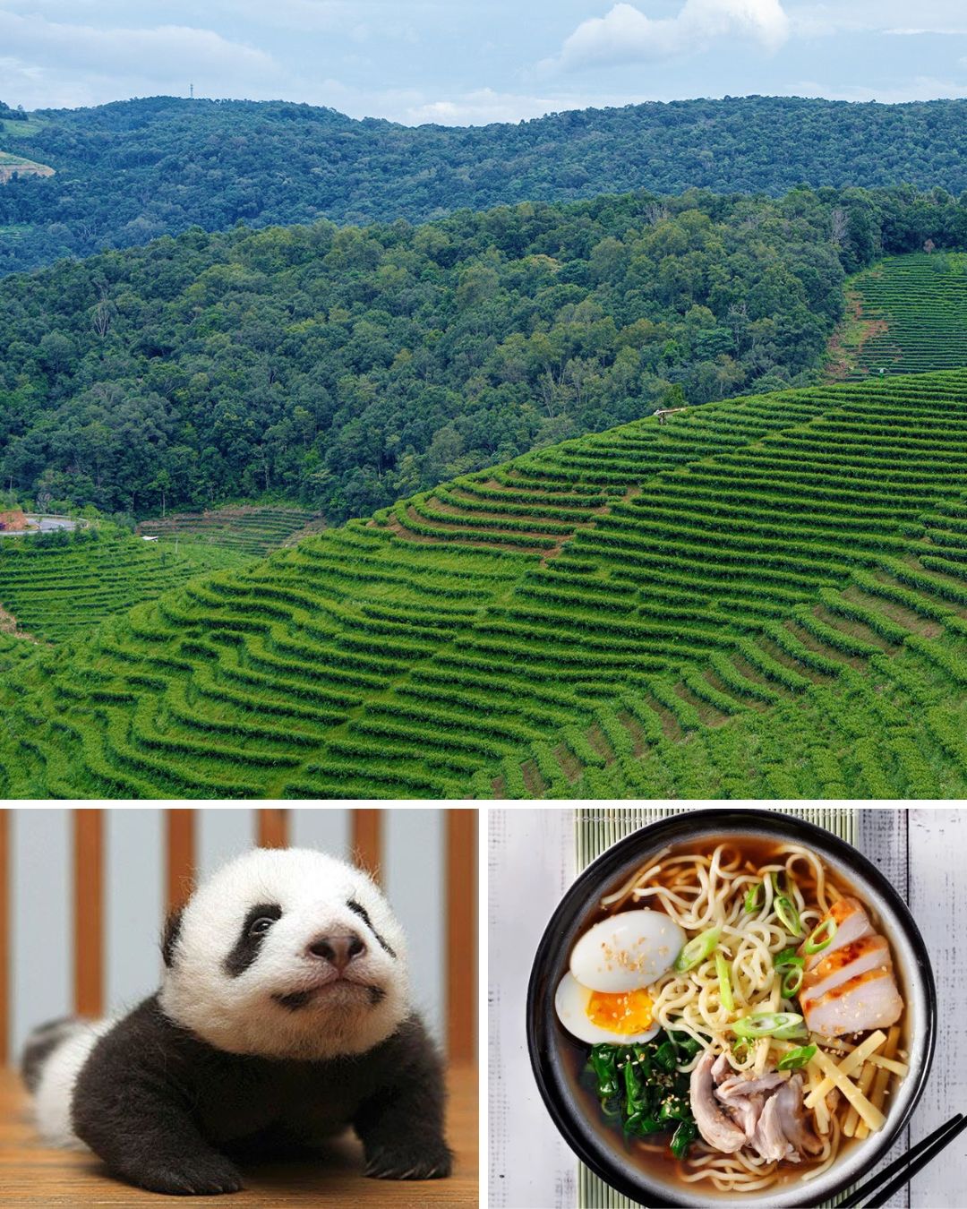 Stockphotos for Asian Studies Info Session