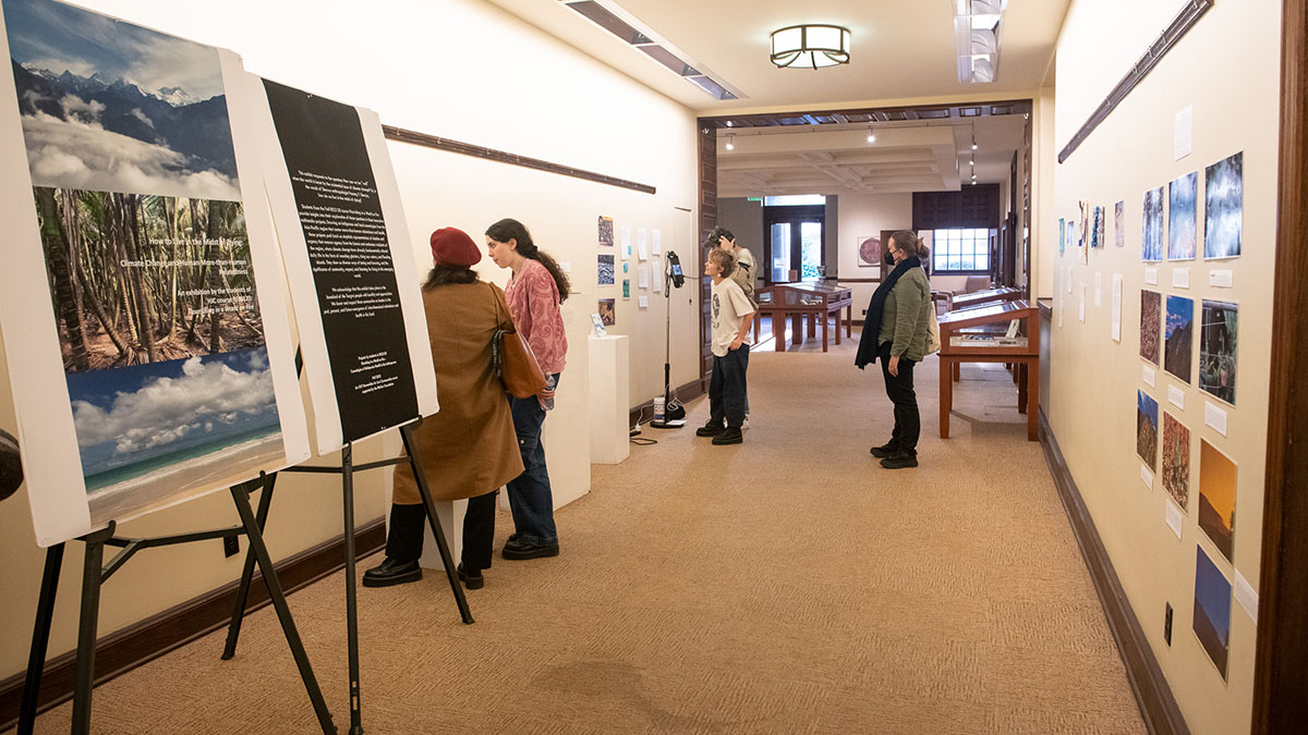 students and visitors standing in the hall of the library looking at content posted on the walls