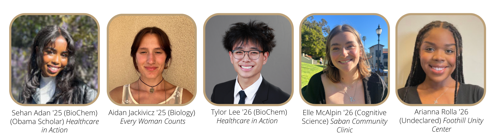 2024 public health interns