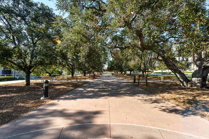 Campus Quad