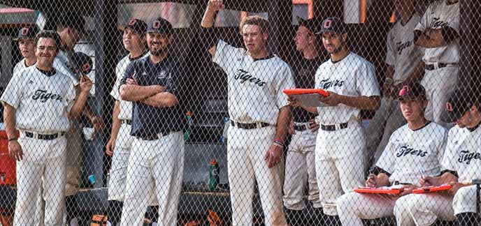 Oxy Tigers Baseball Team