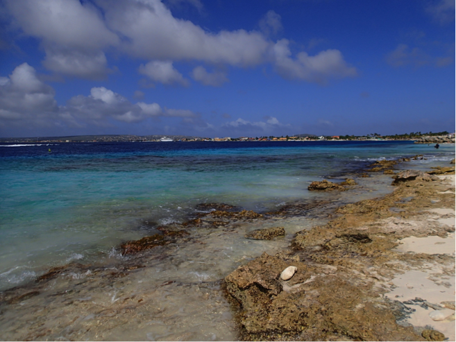 a view of a beach with blue sky, clouds and blue green water