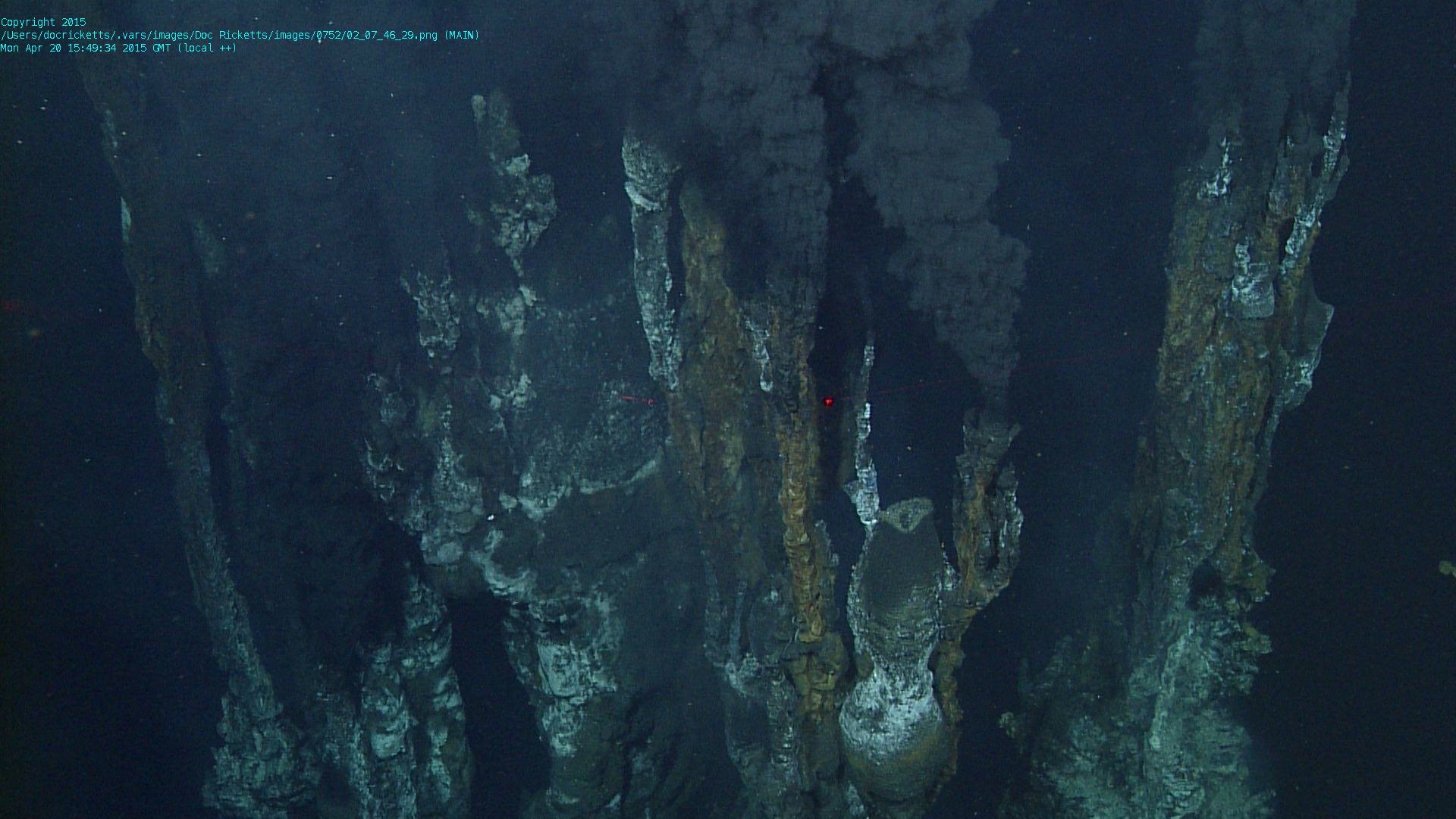 Billowing chimneys underwater