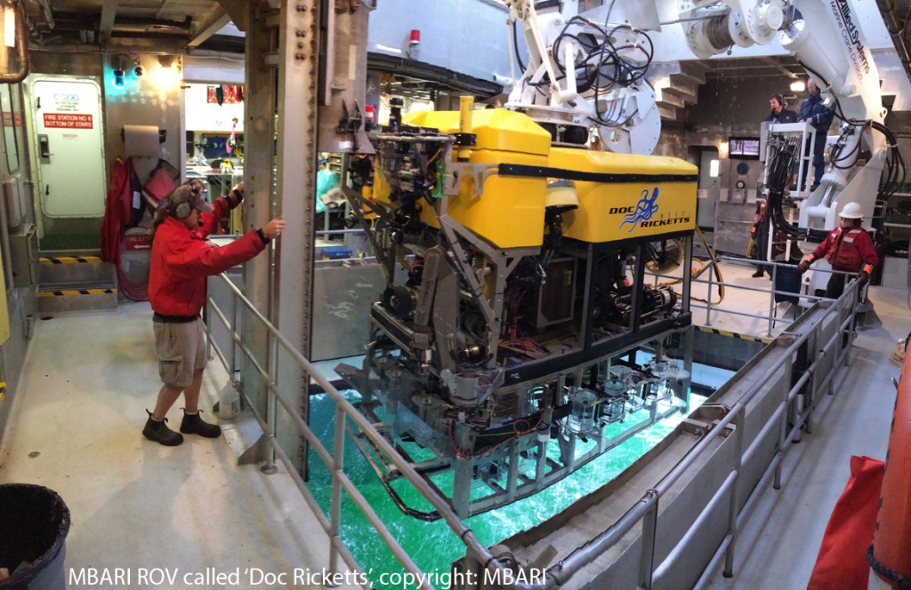 A worker operating Doc Ricketts Moon Pool