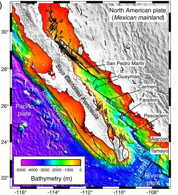 A multicolored graph of the North American plate 