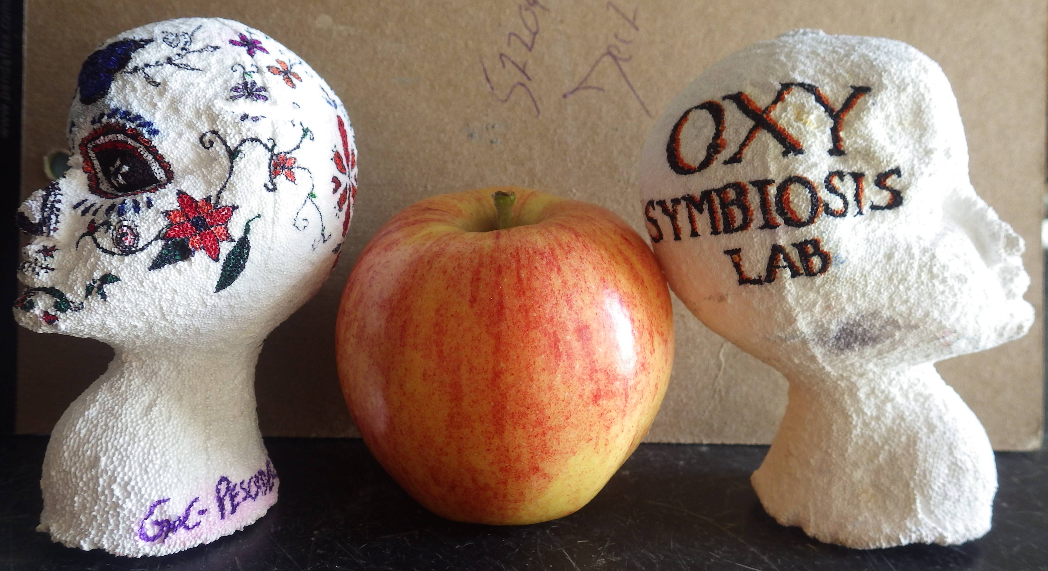 two white plaster of paris heads on a shelf with an apple in the middle
