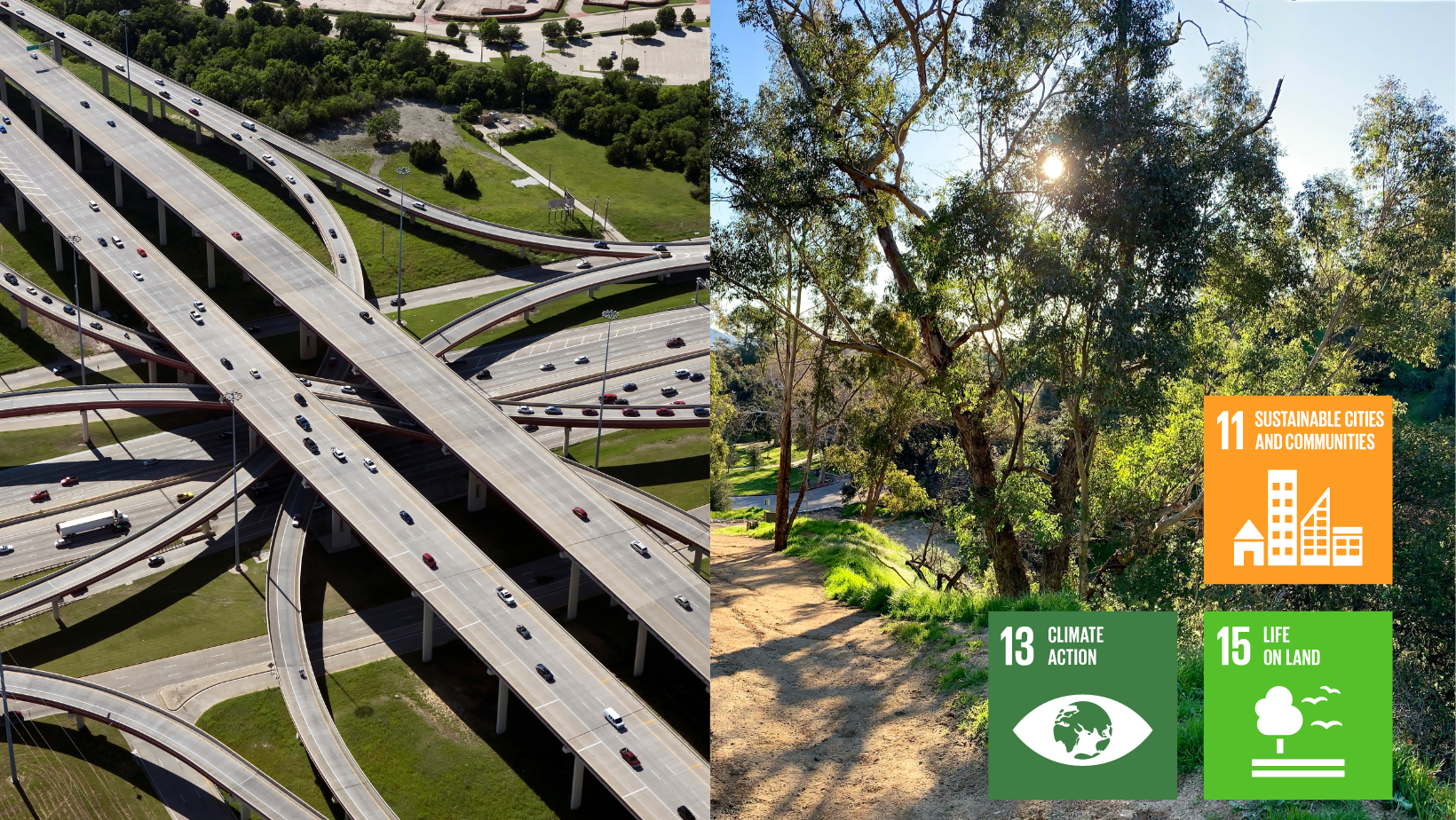 Biodiversity in Los Angeles