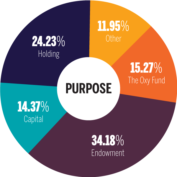 16.1% The Oxy Fund, 20.6% endowment, 1.0% capital, 46.1% und
