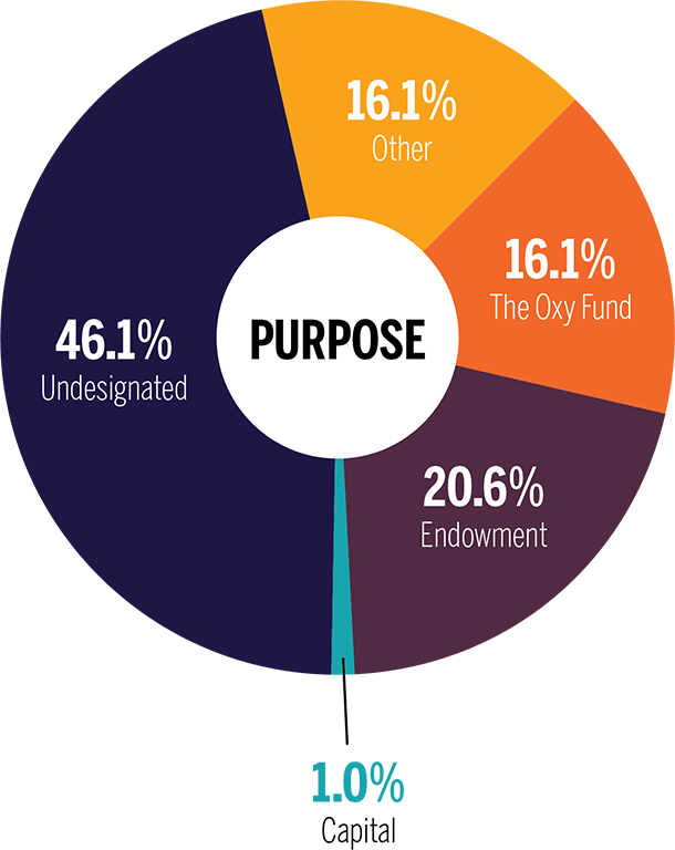 16.1% The Oxy Fund, 20.6% endowment, 1.0% capital, 46.1% undesignated, 16.1% other