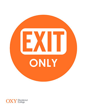 Exit Only poster