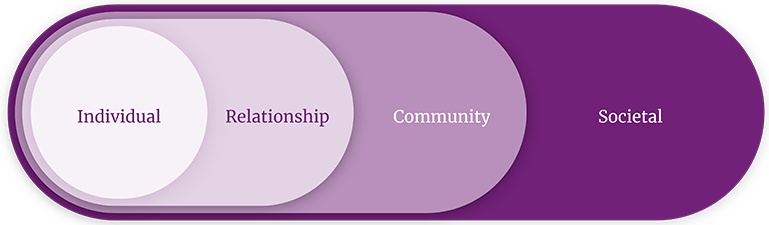 The social ecological model from individual to community 