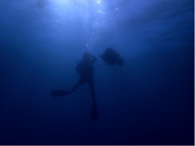 deep sea divers against a murky blue background