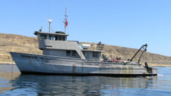 A yellow fin boat on the ocean 