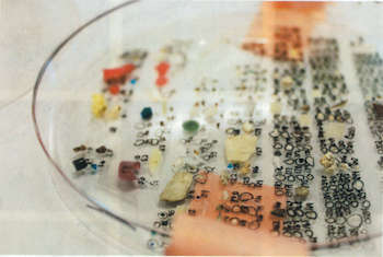 Microplastics counting dish