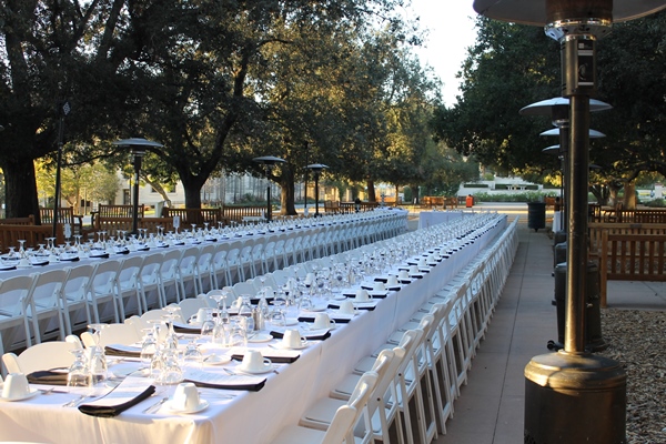 Two very long, fully set tables on the sidewalk going through the campus Quad