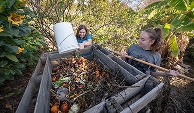 Occidental College students working in a garden