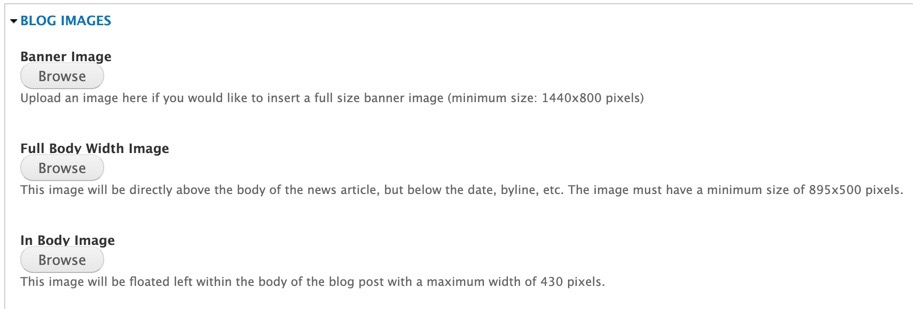 A screenshot of the 3 image options available for blog posts