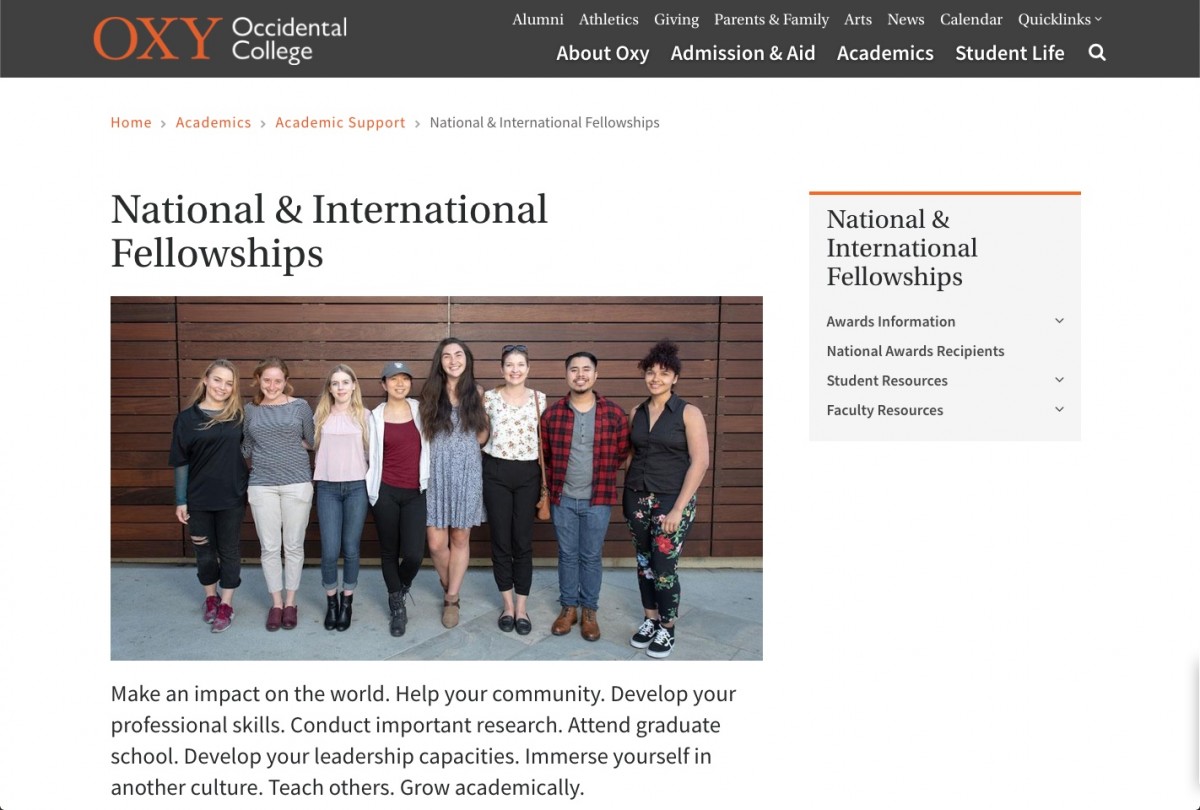 Screenshot of the main image on the National & International Fellowships homepage