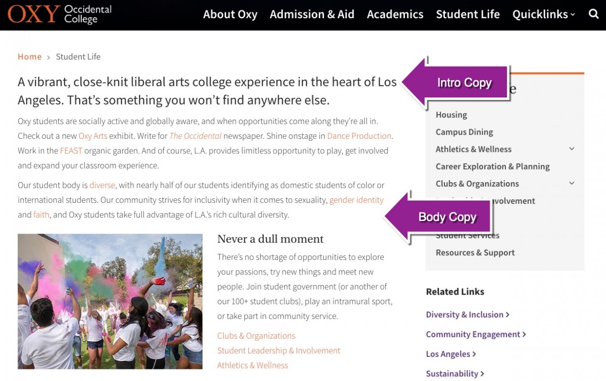 Screenshot of intro and body copy from the Student Life homepage