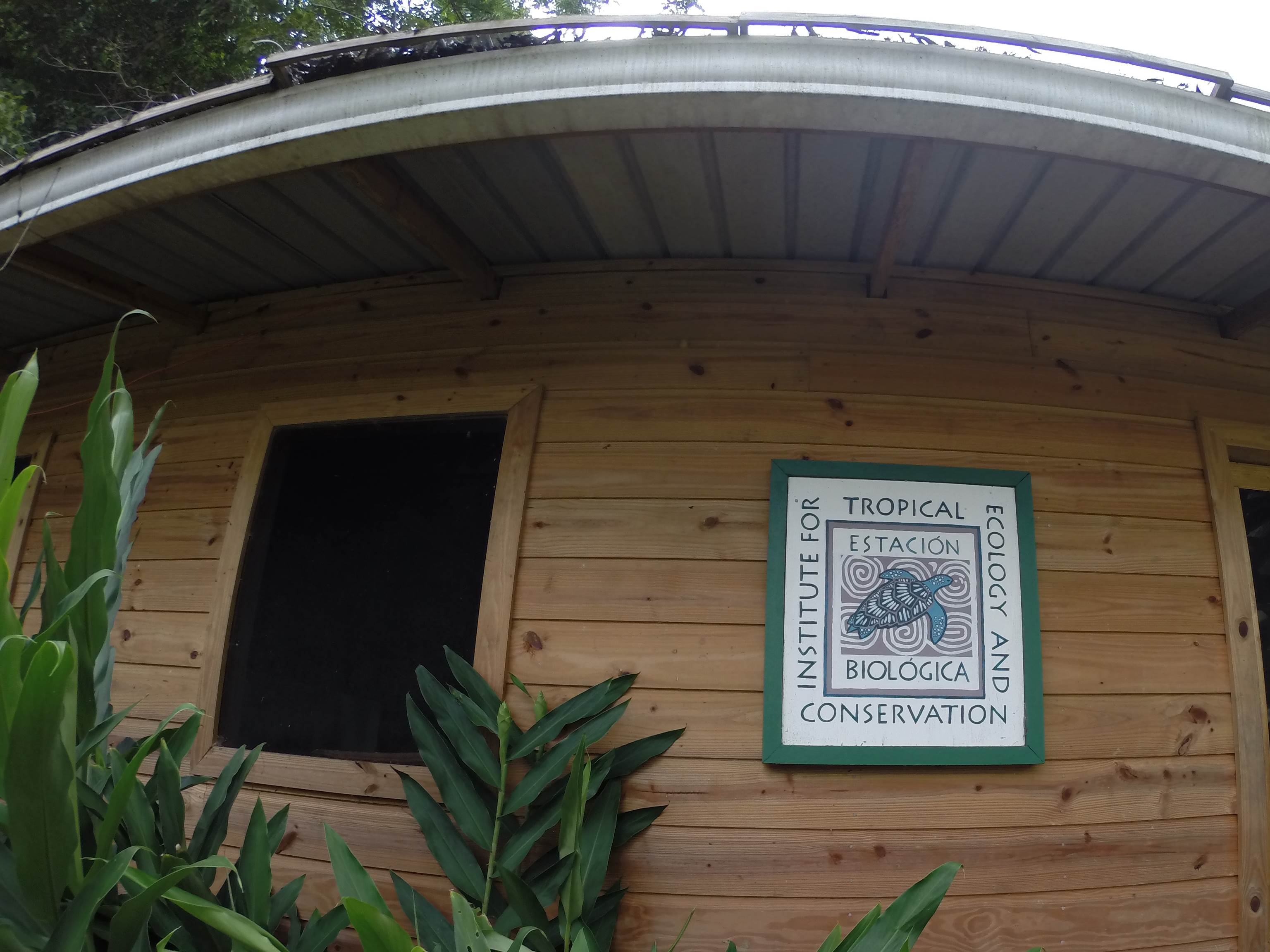 Image for June 4, 2014 - Institute for Tropical Ecology and