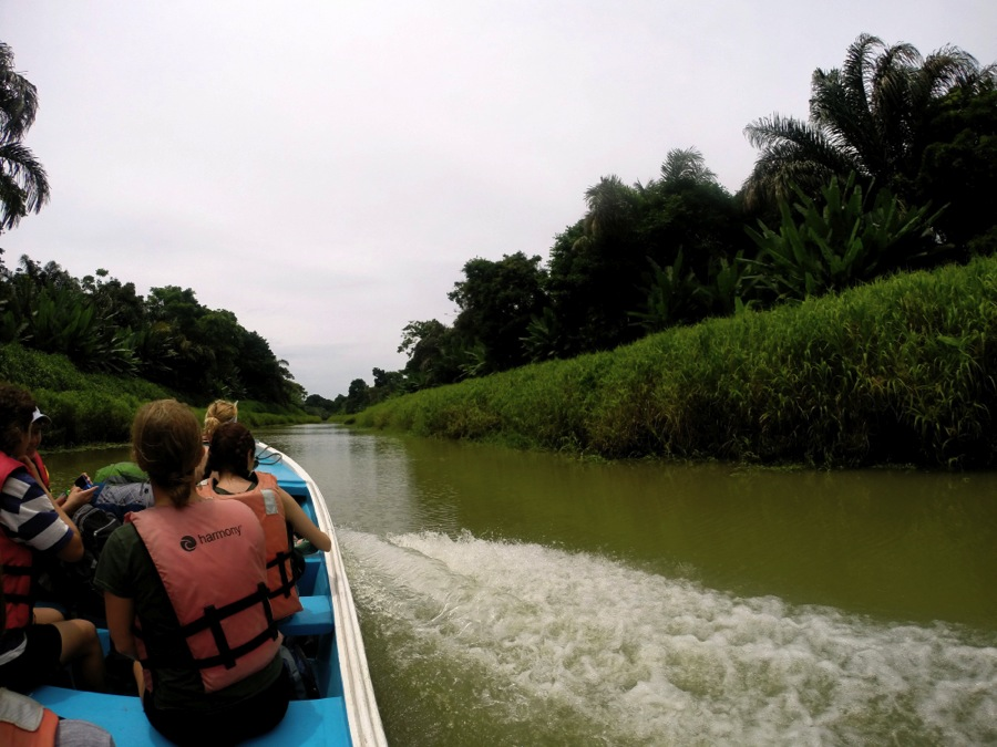 Image for May 31 - Pacuare Nature Reserve, Costa Rica